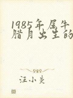 1985年属牛腊月出生的命运