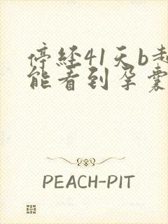 停经41天b超能看到孕囊吗封面