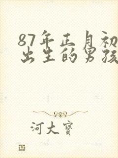 87年正月初九出生的男孩子命运