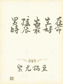 男孩出生在什么时辰最好命