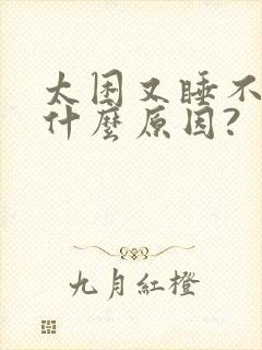 太困又睡不着是什么原因?