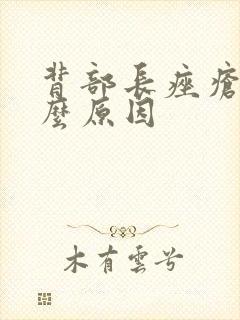 背部长痤疮是什么原因