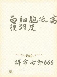 白细胞低高烧反复39度