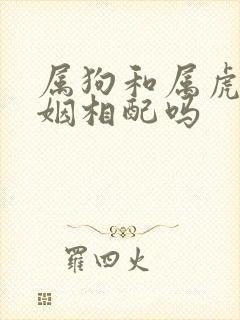 属狗和属虎的婚姻相配吗