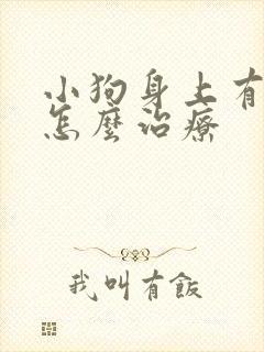 小狗身上有螨虫怎么治疗封面