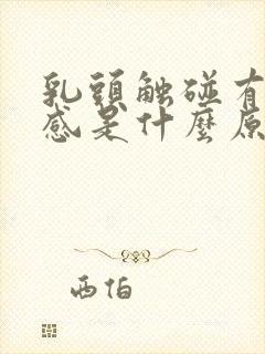 乳头触碰有疼痛感是什么原因