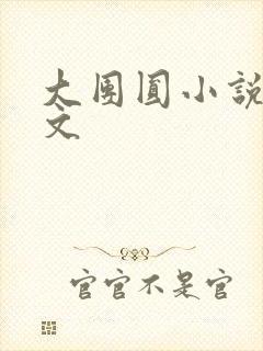 大团圆小说集全文