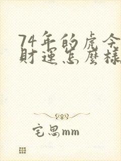 74年的虎今年财运怎么样