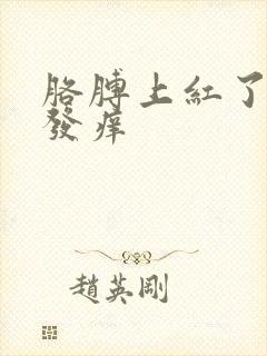 胳膊上红了一片发痒封面