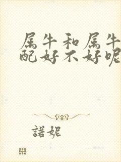 属牛和属牛的婚配好不好呢