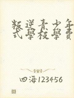 叛逆青少年封闭式学校学费