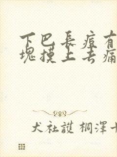 下巴长痘有个硬块摸上去痛