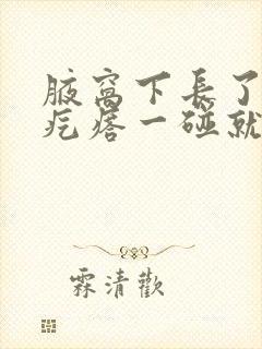 腋窝下长了一个疙瘩一碰就疼