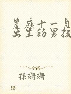 农历十一月十四出生的男孩是什么命