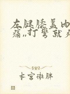 左腿膝盖内侧疼痛,,打弯就疼,为什么封面