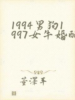 1994男狗1997女牛婚配