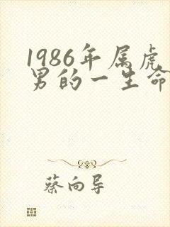 1986年属虎男的一生命运