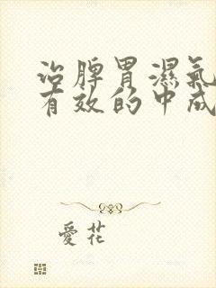 治脾胃湿气重最有效的中成药