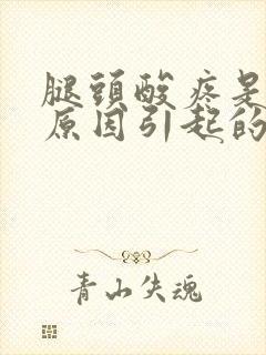 腿头酸疼是什么原因引起的封面