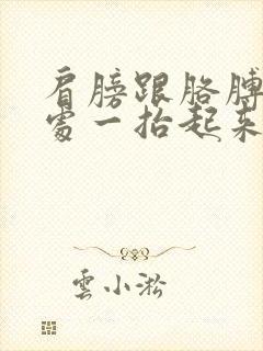 肩膀跟胳膊连接处一抬起来就痛封面