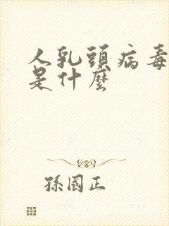 人乳头病毒58是什么