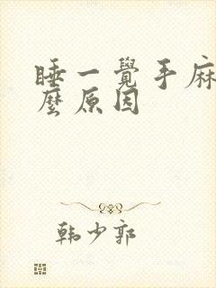 睡一觉手麻了什么原因封面