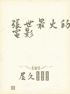 张世最火的十部电影封面