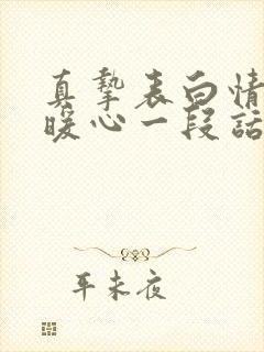 真挚表白情话最暖心一段话