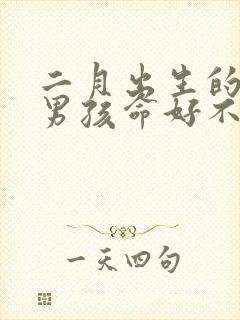 二月出生的属马男孩命好不好