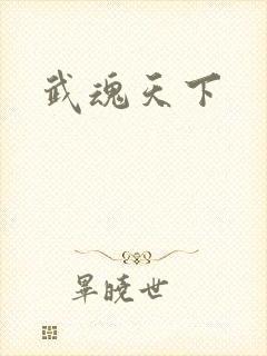 武魂天下