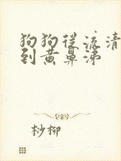 狗狗从流清鼻涕到黄鼻涕