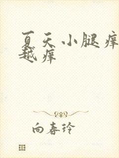 夏天小腿痒越抓越痒