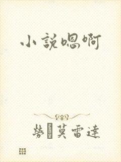小说嗯啊