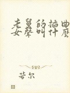 老舅的插曲粤语女声叫什么