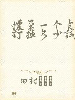 怀孕一个月怎么打掉多少钱啊封面