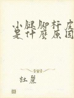 小腿脚杆皮肤痒是什么原因