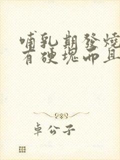 哺乳期发烧乳房有硬块而且疼怎么办封面