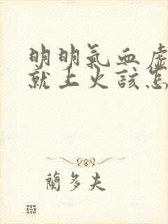 明明气血虚一补就上火该怎么办封面