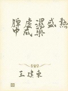 脾虚湿盛热盛的中成药