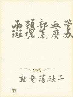 两颈部血管都有斑块怎么办封面