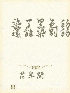 染了黑色的头发还能染别的颜色吗