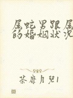 属蛇男跟属龙女的婚姻状况