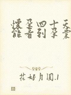 怀孕四十天b超能看到孕囊吗