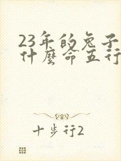 23年的兔子是什么命五行属什么