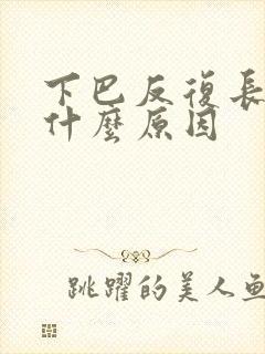 下巴反复长痘痘什么原因