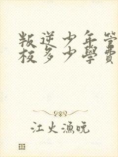 叛逆少年管教学校多少学费