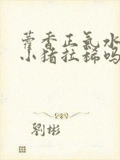 藿香正气水能治小猪拉稀吗