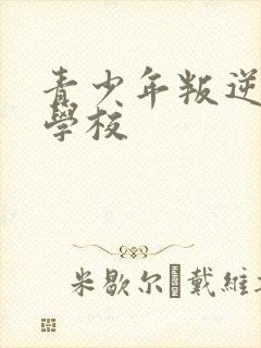 青少年叛逆正规学校