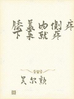 膝盖内侧疼痛蹲下来就疼