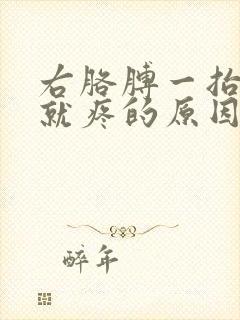 右胳膊一抬肩膀就疼的原因